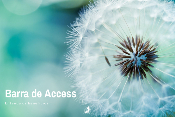 O que é a Barra de Access?